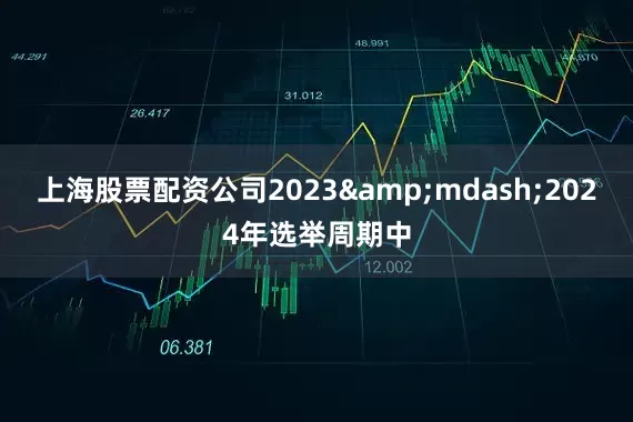 上海股票配资公司2023&mdash;2024年选举周期中